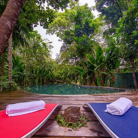 Wild Nest Villa อูนาวาตูนา ภายนอก รูปภาพ