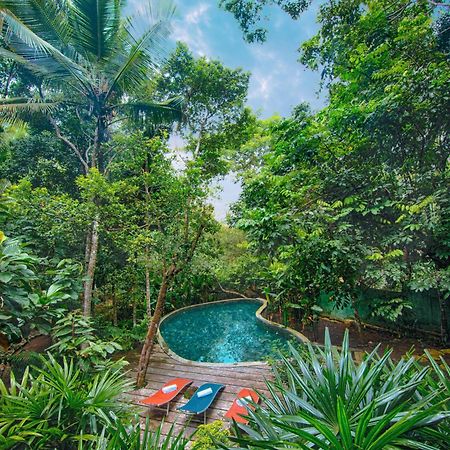 Wild Nest Villa อูนาวาตูนา ภายนอก รูปภาพ